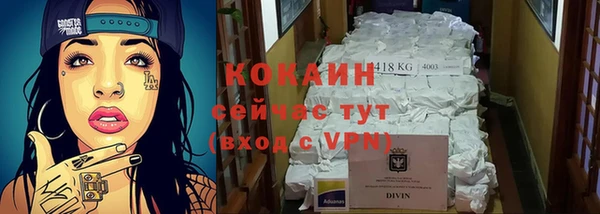 крисы Баксан