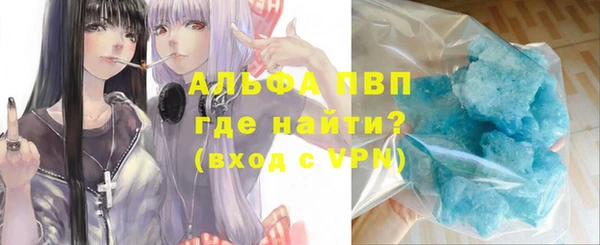 крисы Баксан
