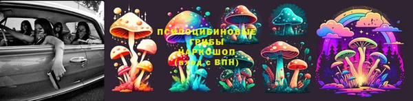 крисы Баксан
