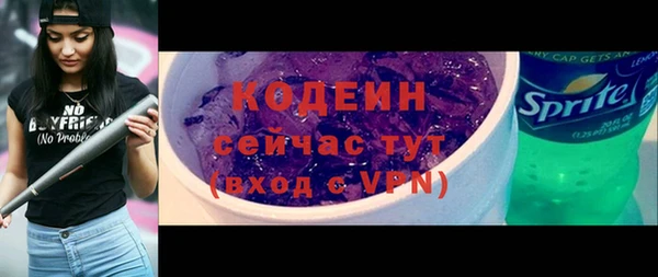 крисы Баксан