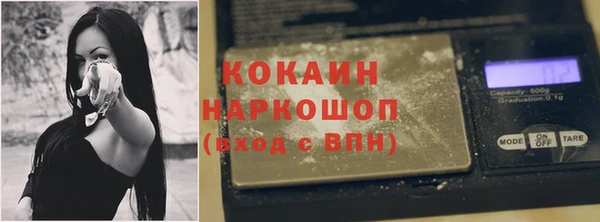 крисы Баксан
