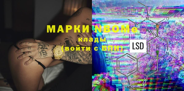 крисы Баксан