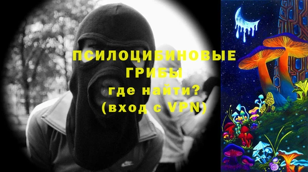 крисы Баксан
