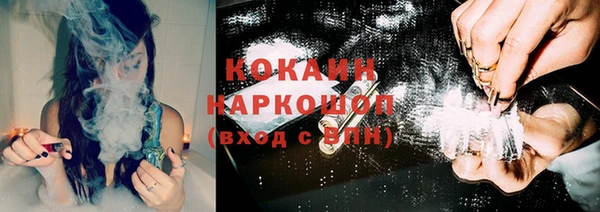 крисы Баксан