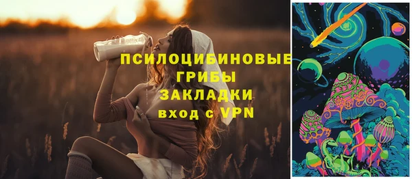 гидра Балахна