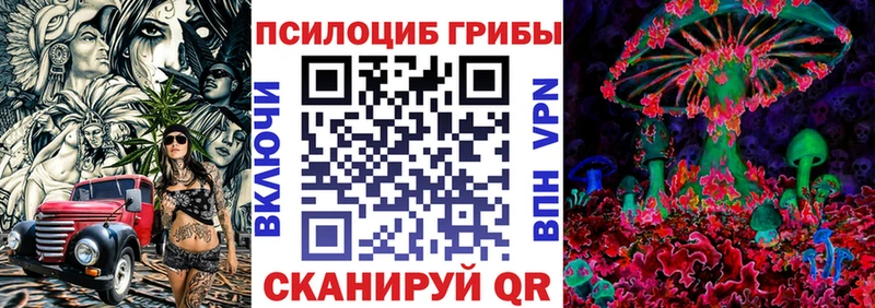 где можно купить наркотик  Котельниково  Галлюциногенные грибы Psilocybe 